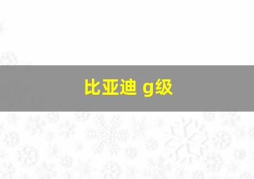 比亚迪 g级